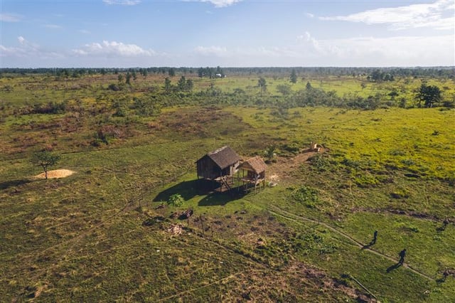  A Long Shack Surrounded By Green Fields