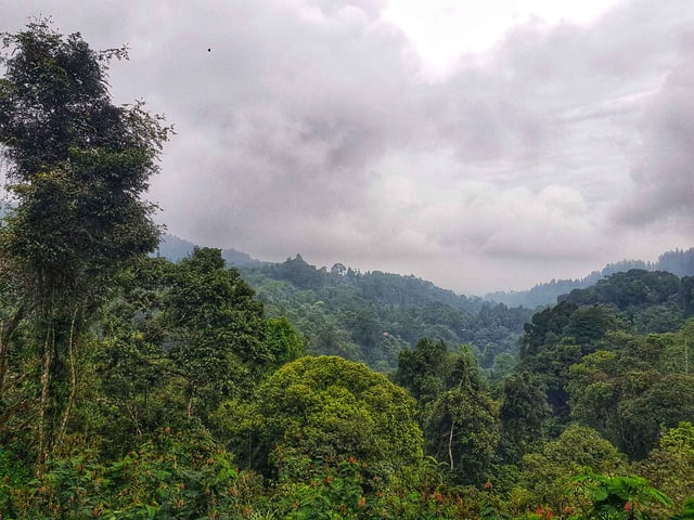 Cloudy Day In The Mountains