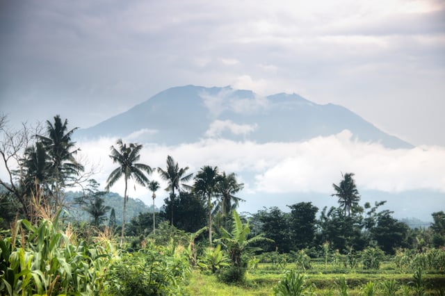 Drc Evisa For Honduras Citizens