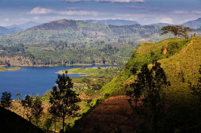 Drc Evisa For Zimbabwe Citizens