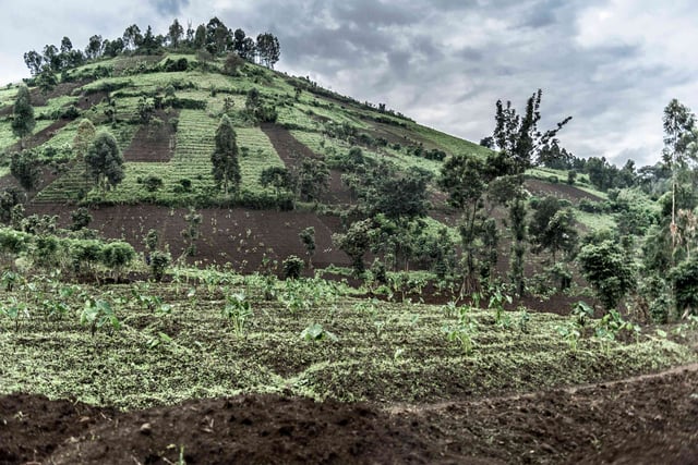 Hillside Located In North Kivu In The Drc