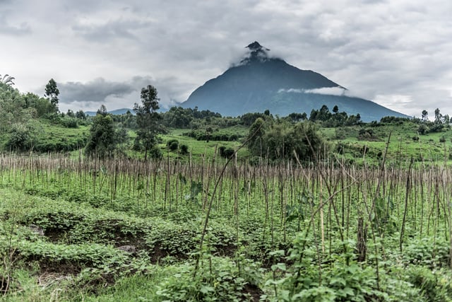 Mont Mikeno Landscape In Nord Kivu
