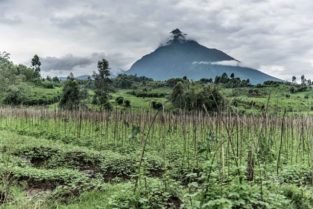 Mount Mikeno covered by clouds in DRC