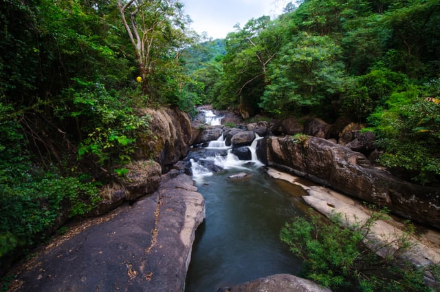 Waterfall Flowing Through Dense Forest