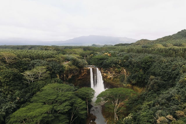 Waterfall In The Jungle Hidden By Trees