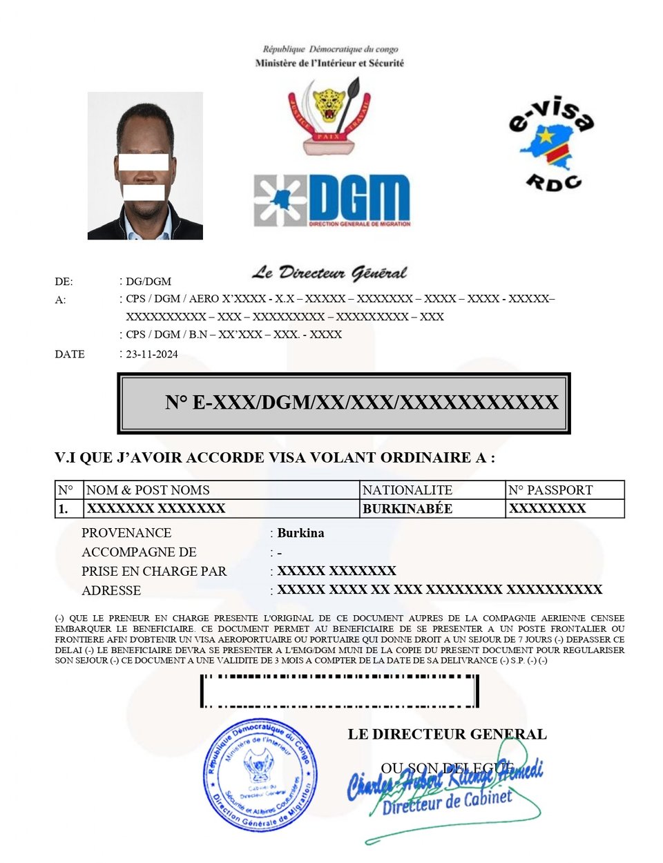 Sample Image of the DR Congo e-Visa for Reference