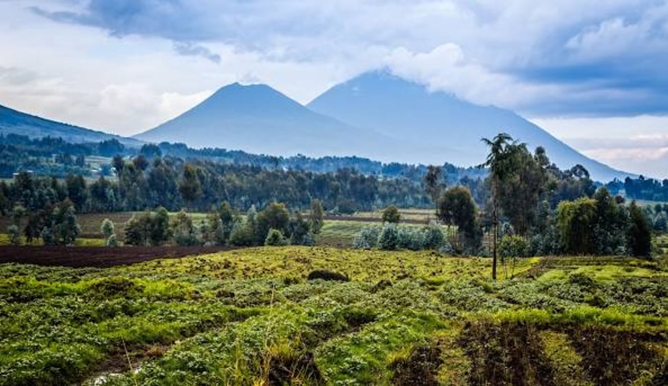 Virunga National Park