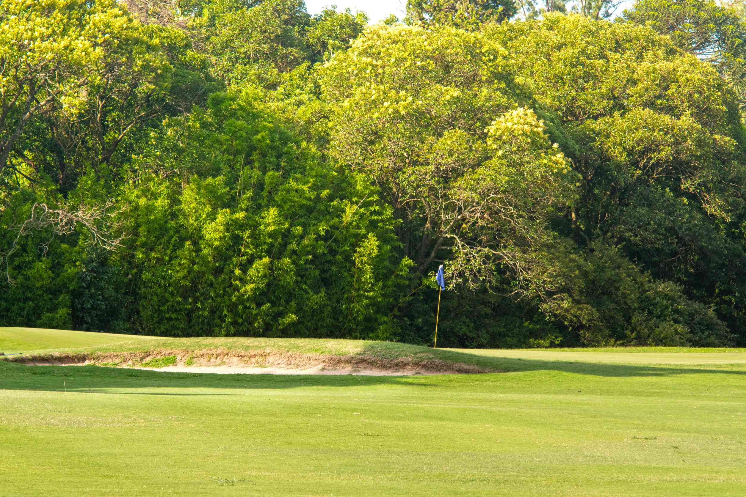 Image Of A Golf Course