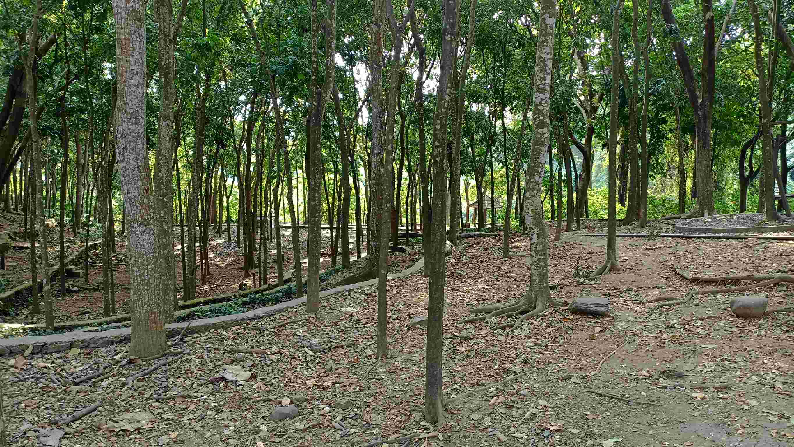 Image Of Botanical Garden