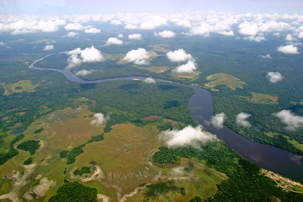Salonga National Park