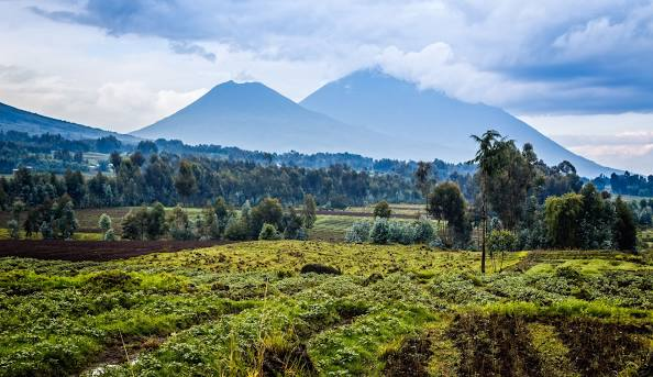 Virunga National Park